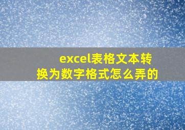 excel表格文本转换为数字格式怎么弄的