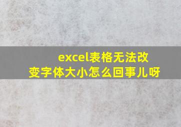 excel表格无法改变字体大小怎么回事儿呀