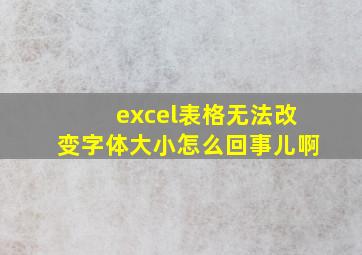 excel表格无法改变字体大小怎么回事儿啊