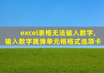 excel表格无法输入数字,输入数字就弹单元格格式选项卡