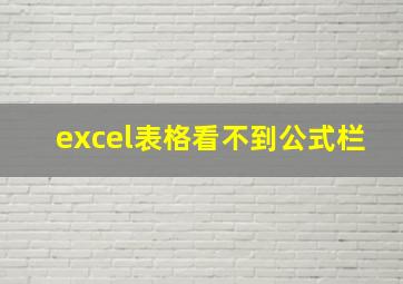 excel表格看不到公式栏