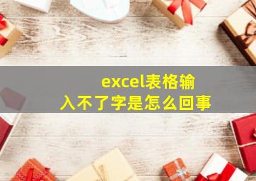 excel表格输入不了字是怎么回事