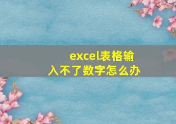 excel表格输入不了数字怎么办