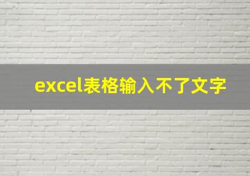 excel表格输入不了文字