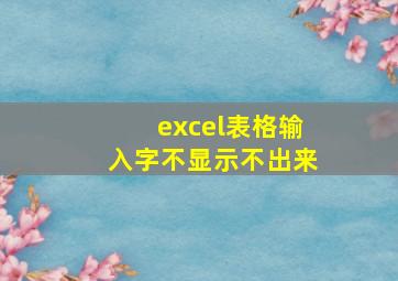 excel表格输入字不显示不出来