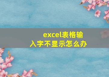 excel表格输入字不显示怎么办