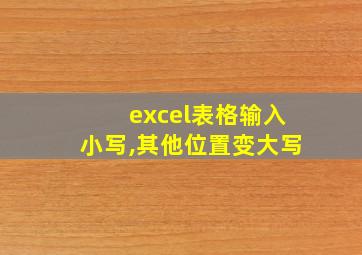 excel表格输入小写,其他位置变大写