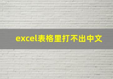 excel表格里打不出中文