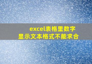 excel表格里数字显示文本格式不能求合