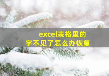 excel表格里的字不见了怎么办恢复