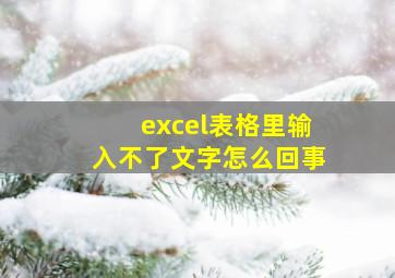 excel表格里输入不了文字怎么回事