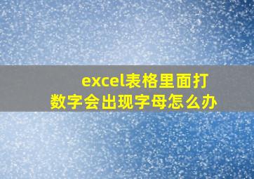 excel表格里面打数字会出现字母怎么办