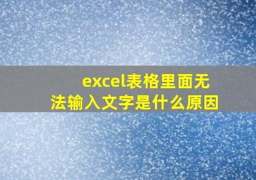 excel表格里面无法输入文字是什么原因