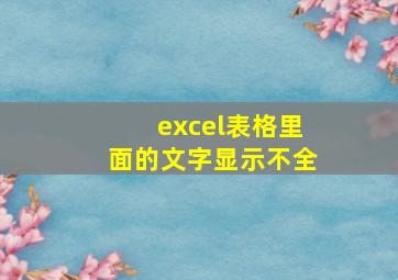 excel表格里面的文字显示不全