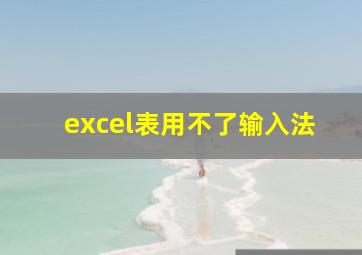 excel表用不了输入法