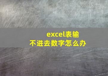 excel表输不进去数字怎么办