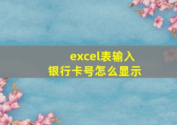 excel表输入银行卡号怎么显示