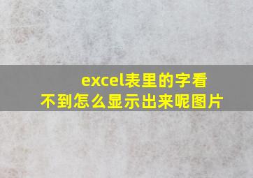 excel表里的字看不到怎么显示出来呢图片