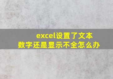 excel设置了文本数字还是显示不全怎么办