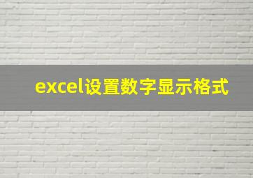 excel设置数字显示格式