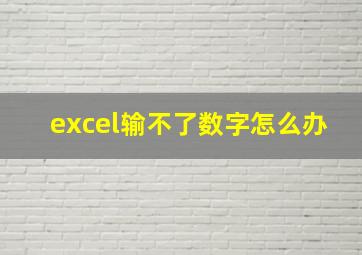 excel输不了数字怎么办