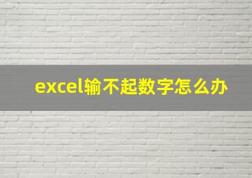 excel输不起数字怎么办