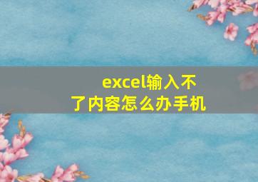 excel输入不了内容怎么办手机