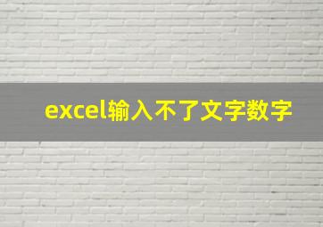 excel输入不了文字数字