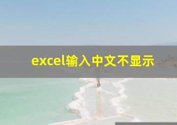 excel输入中文不显示