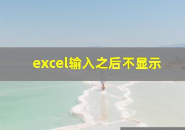 excel输入之后不显示