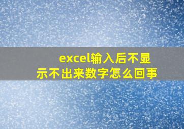 excel输入后不显示不出来数字怎么回事