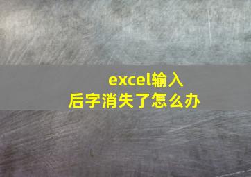 excel输入后字消失了怎么办