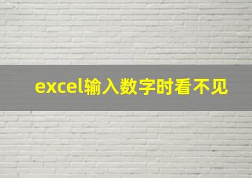 excel输入数字时看不见