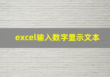 excel输入数字显示文本