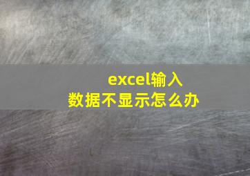 excel输入数据不显示怎么办