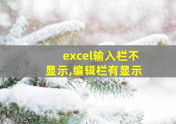 excel输入栏不显示,编辑栏有显示