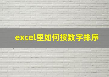 excel里如何按数字排序