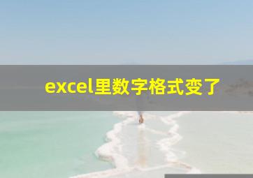 excel里数字格式变了