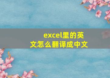 excel里的英文怎么翻译成中文