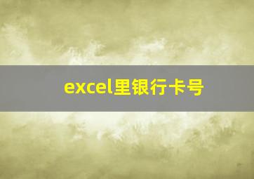 excel里银行卡号