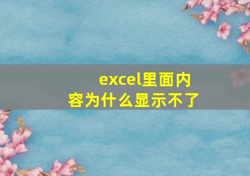 excel里面内容为什么显示不了