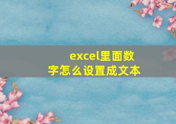 excel里面数字怎么设置成文本