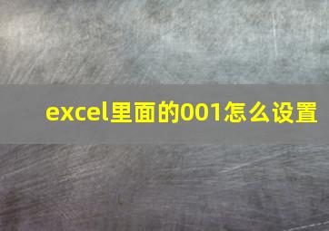 excel里面的001怎么设置