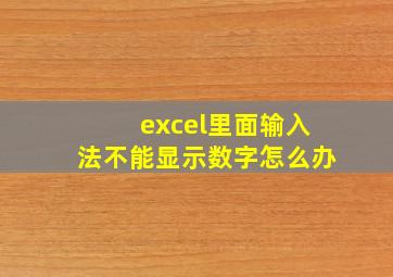 excel里面输入法不能显示数字怎么办