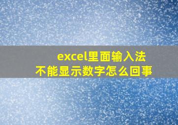 excel里面输入法不能显示数字怎么回事