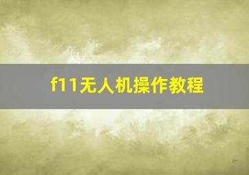 f11无人机操作教程