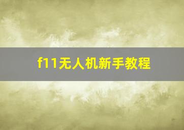 f11无人机新手教程