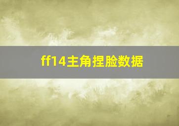 ff14主角捏脸数据