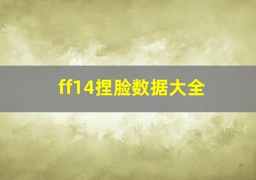 ff14捏脸数据大全