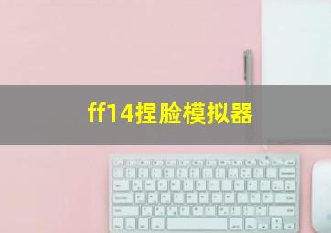 ff14捏脸模拟器